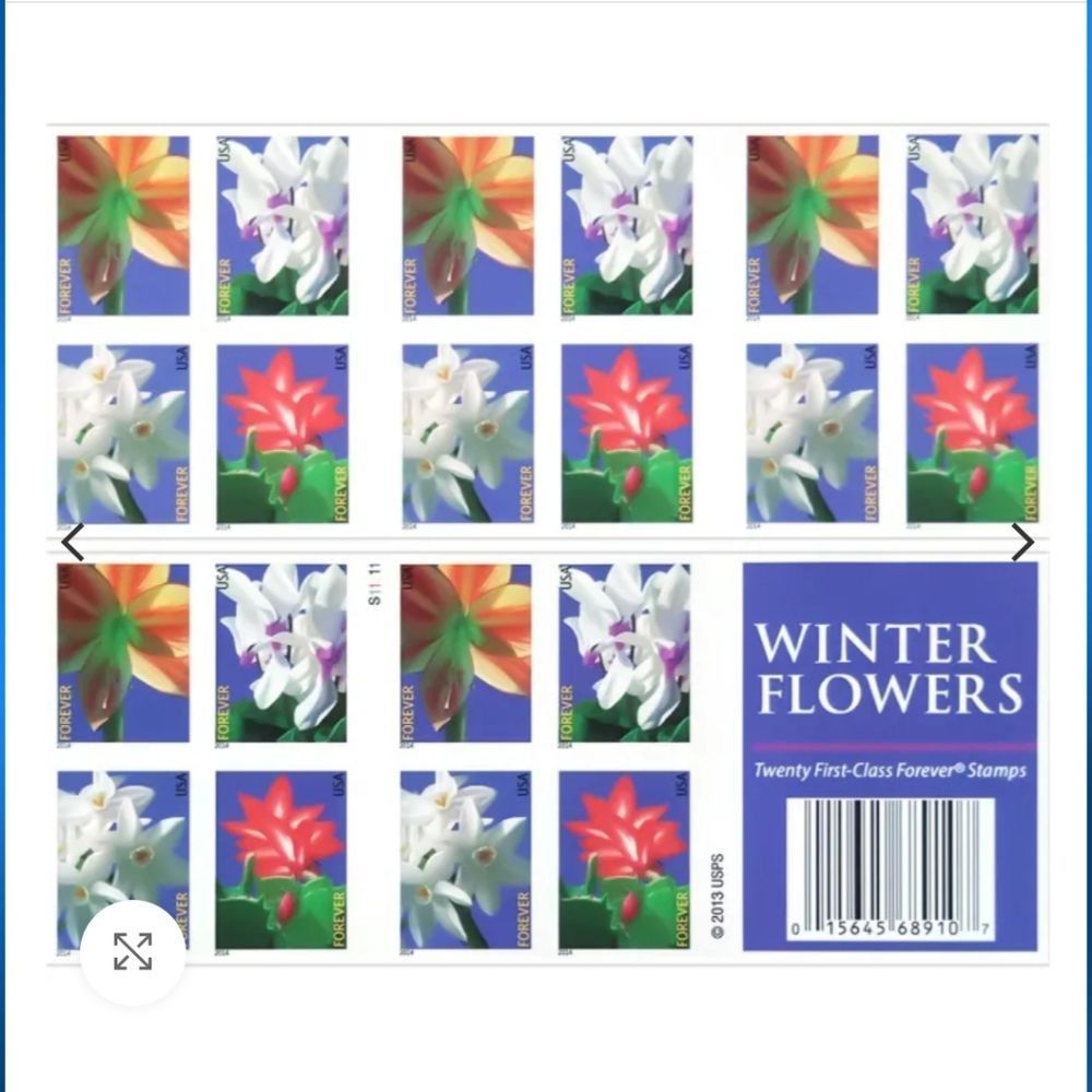 100 Winter Flowers 2014 USPS Forever Stamps Invitations Reception Save The‎ Date
